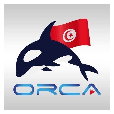 ORCA IPTV 12 MONTHS 